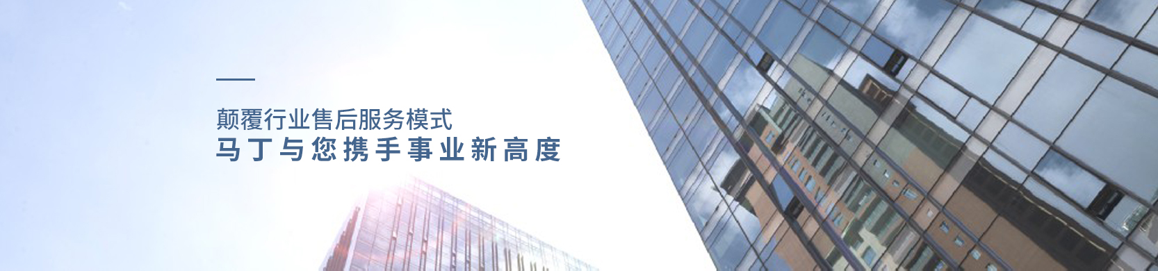 山东马丁汽车科技有限公司